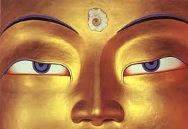 buddha eyes