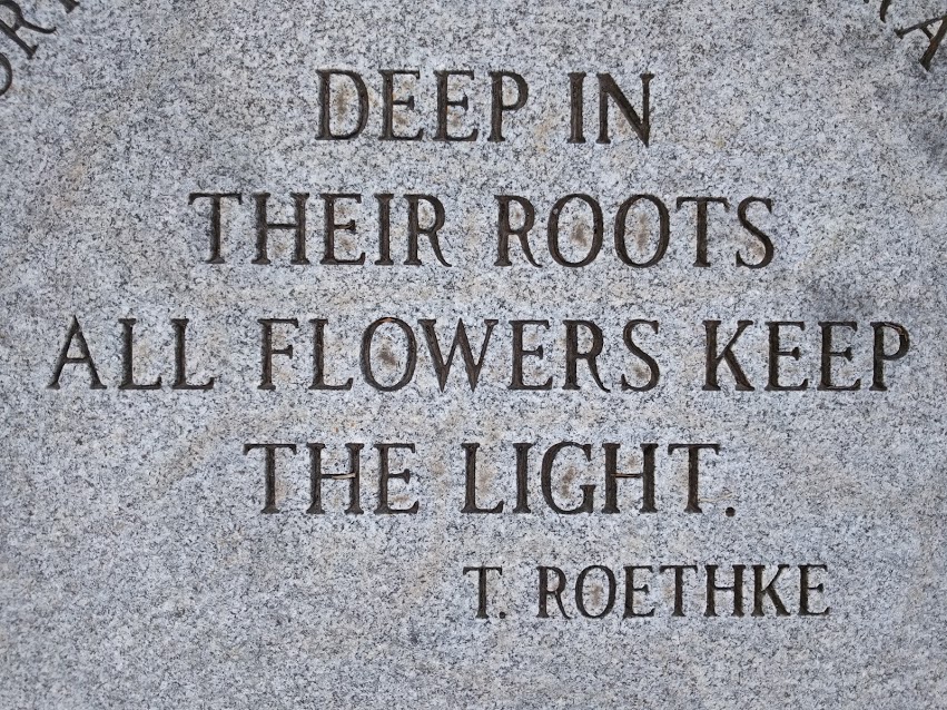 Root Control: A Reiki Release